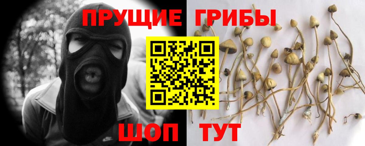 Псилоцибиновые грибы Psilocybine cubensis  Галлюциногенные грибы мицелий  Стрежевой  Вход с VPN 
